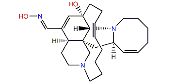 Ircinal E